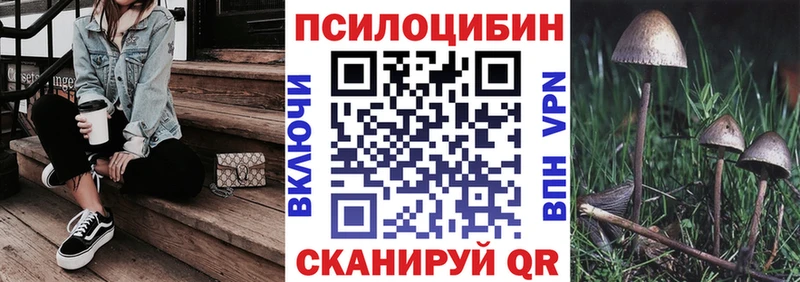 Галлюциногенные грибы ЛСД  kraken ССЫЛКА  Новый Уренгой 